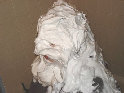 pie6.JPG