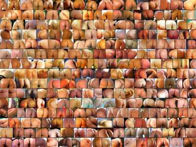 asses_12.jpg