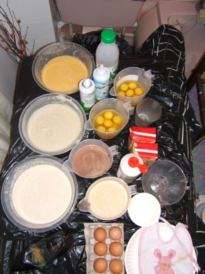 DSCF1355.JPG