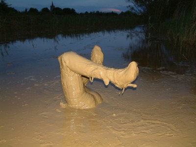 ceded075.jpg