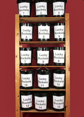 LuckyBuckets100.jpg