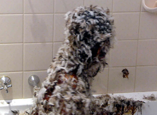 P1000084.jpg