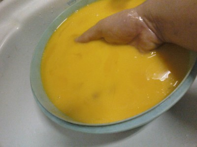 yolk shampoo.jpg