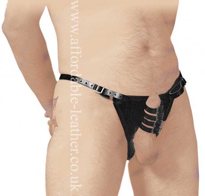 Harness.jpg