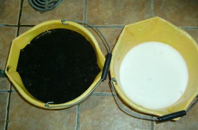 black1.jpg