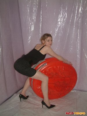 cedef_mainpic_cedef024.jpg