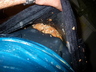IMGP0766.jpg