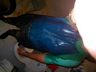 IMGP0768.jpg