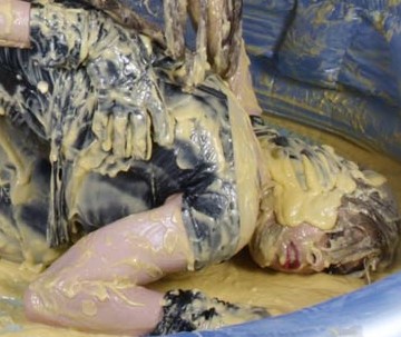 custard-23.jpg