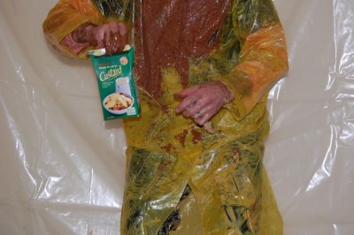 ' custard..jpg