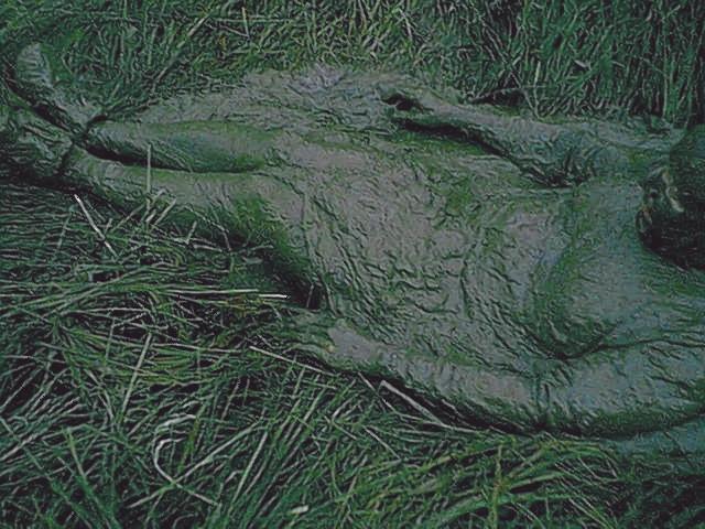 070415I34.jpg