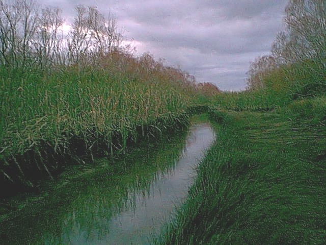 070415I49.jpg