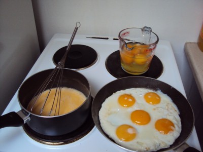 Fried Scrambled or Raw.JPG