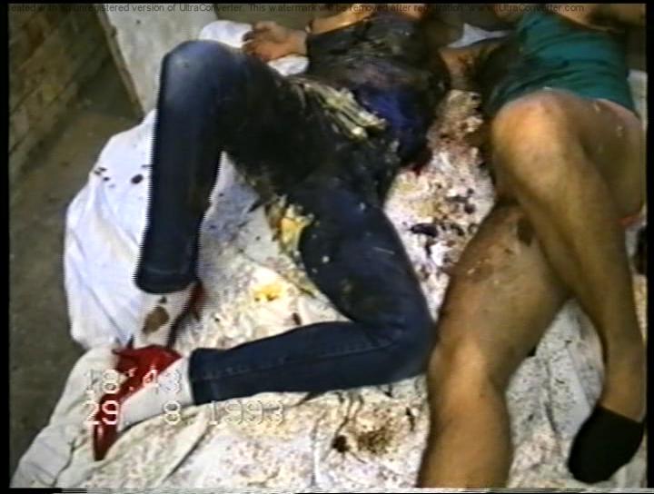 NDVD_202.BMP.jpg