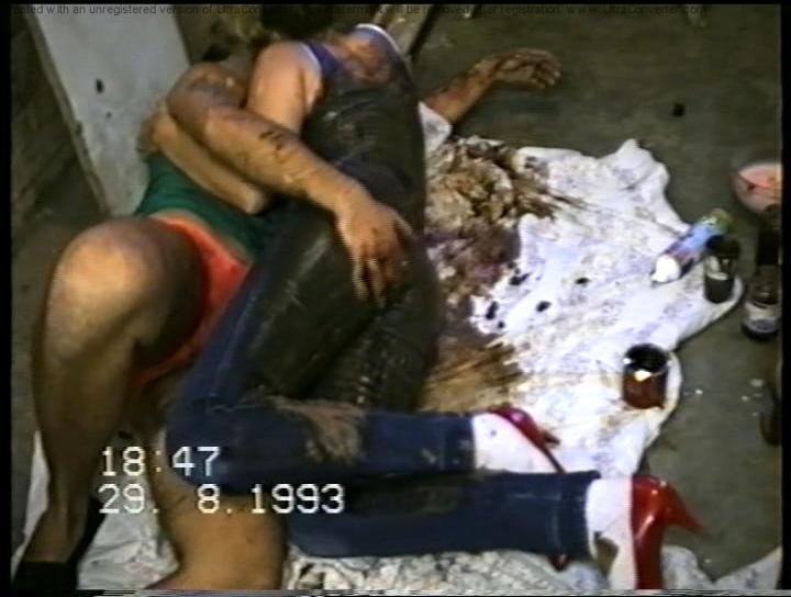 NDVD_237.BMP.jpg