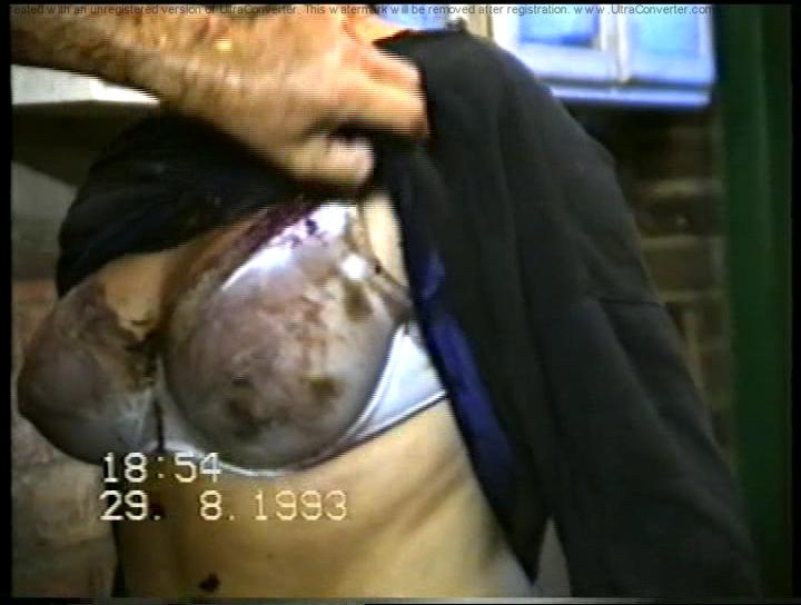 NDVD_274.BMP.jpg