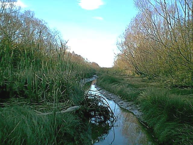 070423I12.jpg