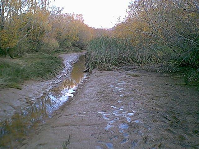 070423I75.jpg