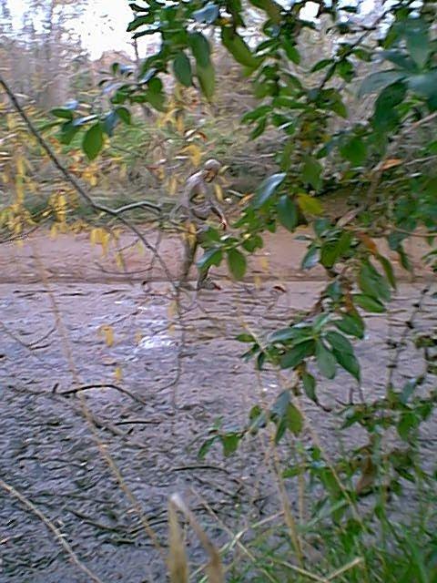 070423I76.jpg