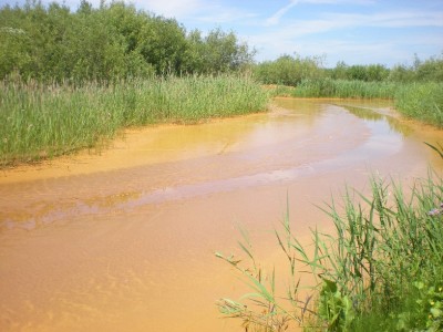 DSCN2578.JPG
