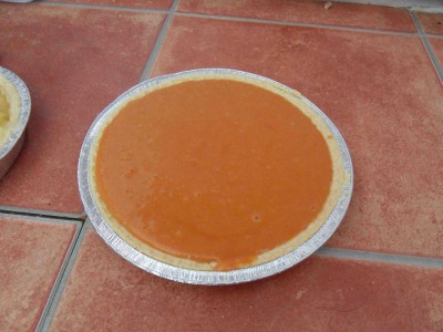 SDC10992.JPG
