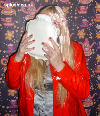 33a.jpg