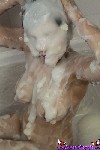 slimed to nude swimsuit  024.jpg