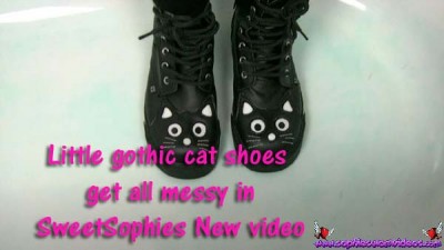 messy cat shoes  001.jpg