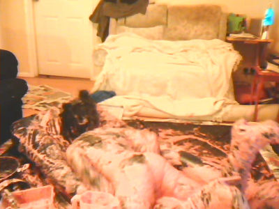 vlcsnap-2012-03-24-13h36m12s243.png