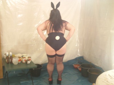 antiebunny 006.jpg