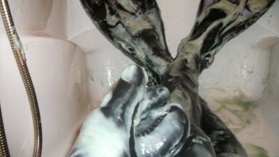 DSCF0190.JPG