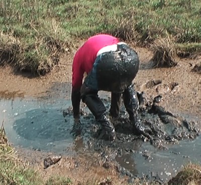 Mud 3 F.jpg