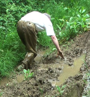 Mud 6 M.jpg