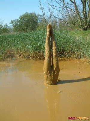 cedepc_mainpic_cedepc099.jpg