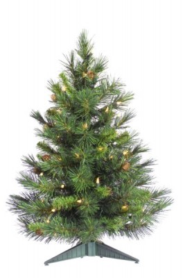 Cheyene Pine.jpg