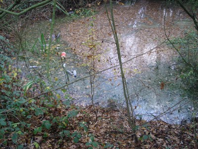 DSC00235.JPG
