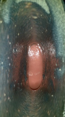 2013-02-03_19-45-11_93.jpg