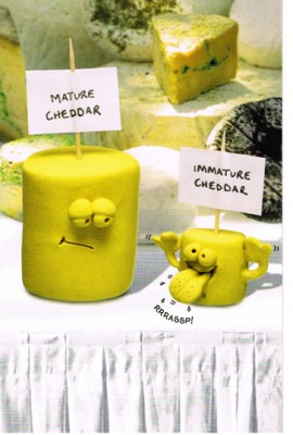 2013_04_20_card_cover.jpg