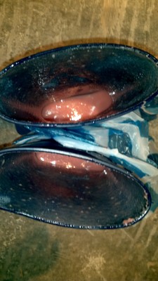 2013-02-03_19-45-06_537.jpg