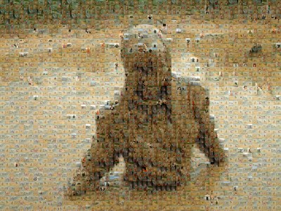 Chantelle Mud ScreenRes Mosaic02.jpg