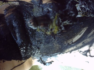IMG00008.JPG