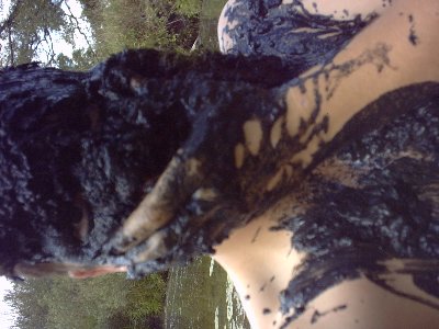 IMG00010.JPG