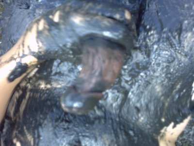 IMG00012.JPG