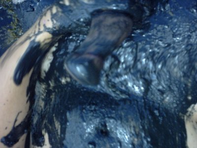 IMG00013.JPG