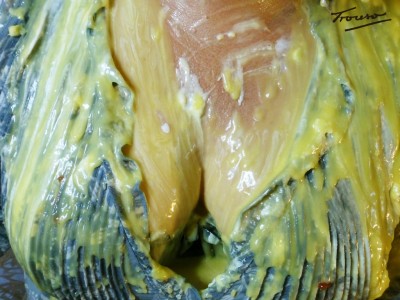 custard_cleavage_by_trouso-d7jsytm.jpg