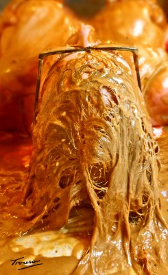 glue-splosh.jpg