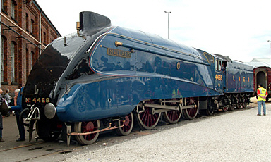 a4_mallard.jpg
