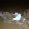 MUD8.jpg