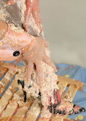 Bunny069.jpg