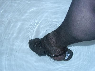 DCAM0020.JPG